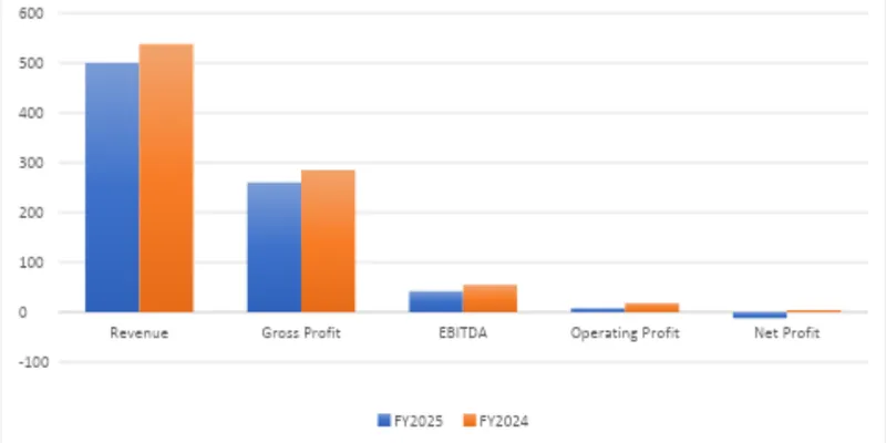 Financial Summary Table